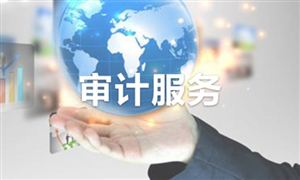 2024審計信息化產業現狀及未來發展趨勢分析報告 兩家公司宣布 取消與普華永道續聘審計