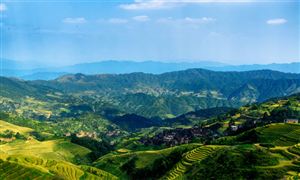 廣西林木行業(yè)市場(chǎng)發(fā)展環(huán)境及未來(lái)市場(chǎng)投資戰(zhàn)略