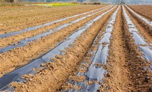 2025年農(nóng)用塑料行業(yè)競爭格局及發(fā)展前景預(yù)測分析