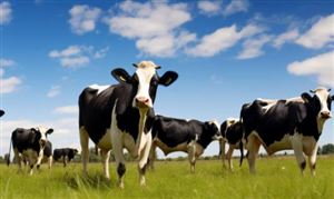 2025年西藏特色農牧業現狀與發展趨勢分析