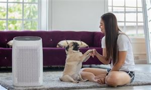 2025中國空氣凈化器市場：三大熱點驅動，未來五年蓄勢待發