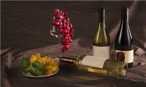 2025年寧夏葡萄酒行業(yè)市場發(fā)展現(xiàn)狀及未來發(fā)展前景趨勢分析