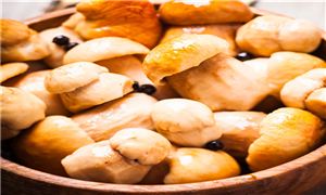 2025年貴州省食用菌行業(yè)市場發(fā)展現(xiàn)狀及未來發(fā)展前景趨勢分析