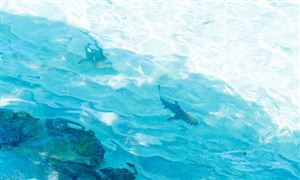 2025年青島海洋經(jīng)濟(jì)行業(yè)發(fā)展現(xiàn)狀與產(chǎn)業(yè)鏈解析