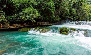 2025年貴州省生態(tài)環(huán)境保護(hù)行業(yè)，碳達(dá)峰目標(biāo)下的“綠色投資風(fēng)口”