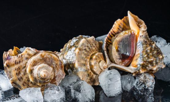 2025年中國生鮮水產行業供需現狀分析及發展趨勢展望