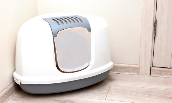 2025貓砂盆行業發展現狀及市場規模、未來發展趨勢分析