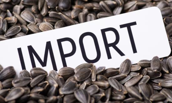 中國糧食貿易行業發展現狀分析與未來展望