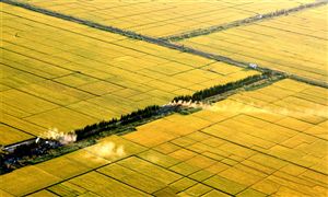 2025年黑龍江省新型農(nóng)業(yè)發(fā)展趨勢及產(chǎn)業(yè)鏈投資策略分析