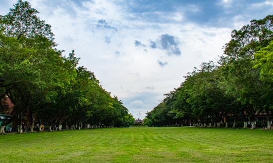 2025年中國草坪機行業市場全景調研及投資價值