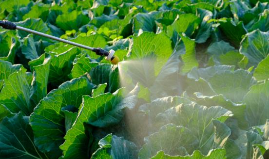 2025年中國噴灌泵市場深度全景調研及投資前景