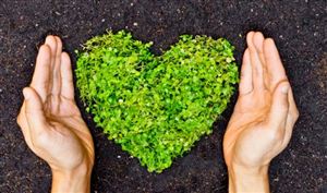 生物質能源、生物質資源回收利用專項研究報告（2025年版）