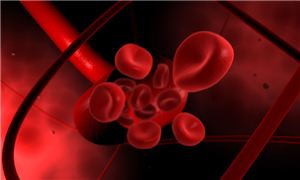 2025年血液透析全產業鏈實用趨勢判