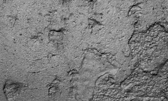 2025中國(guó)水泥市場(chǎng)深度全景調(diào)研及供需格局、未來投資前景分析