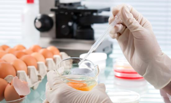 2025年食品市場發(fā)展現(xiàn)狀調(diào)查及發(fā)展趨勢分析