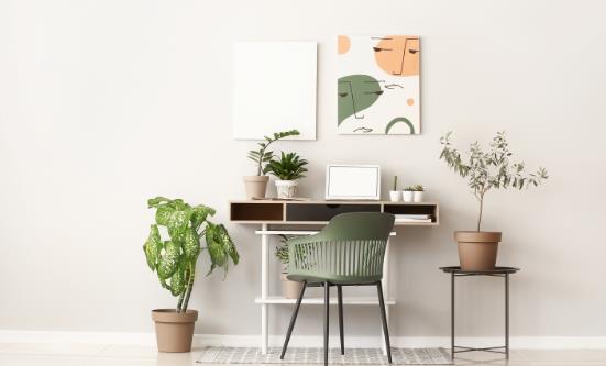 2025中國家居用品行業市場深度調研及未來發展趨勢預測