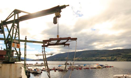 2025中國起重機制造行業發展現狀與產業鏈分析