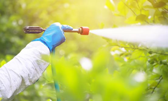 2025中國化學農藥行業深度調研及市場規模、投資策略分析