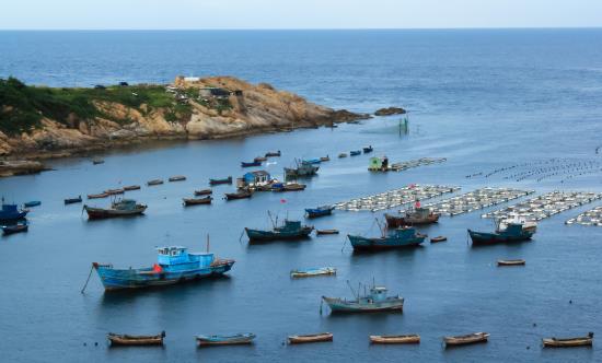 2025中國海洋捕撈行業市場全景調研及發展趨勢分析