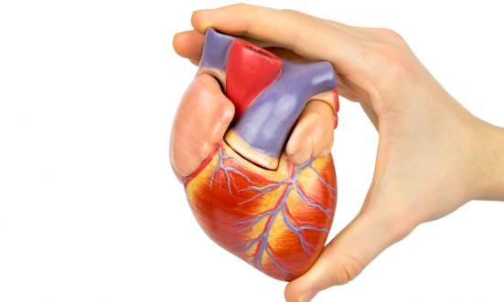 2025年中國人工心臟行業趨勢分析及投資前景調研