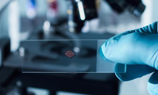 2025檢測儀器行業(yè)發(fā)展現(xiàn)狀分析與未來趨勢