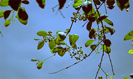 環境監測設備行業發展如何 2035年現代化生態環境監測體系基本建成