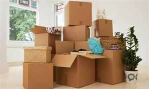 2025年中國軟包裝產(chǎn)業(yè)園區(qū)發(fā)展規(guī)劃及招商引資咨詢