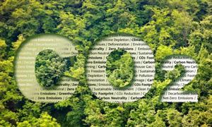 新疆綠色低碳行業現狀洞察與未來趨勢分析