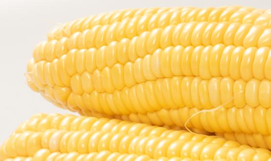 玉米深加工行業(yè)現(xiàn)狀洞察與發(fā)展趨勢展望