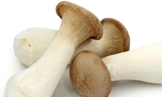 杏鮑菇行業(yè)現(xiàn)狀與發(fā)展趨勢(shì)深度分析