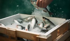 2025年中國(guó)冷凍電機(jī)市場(chǎng)：技術(shù)迭代與需求升級(jí)下的產(chǎn)業(yè)突圍之路