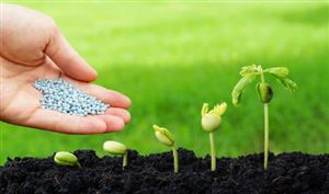 中國(guó)化學(xué)肥料行業(yè)市場(chǎng)深度調(diào)研及投資策略預(yù)測(cè)（2025年版）