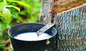 2025年中國橡膠市場深度洞察：“十五五”浪潮下的供需重構(gòu)與產(chǎn)業(yè)躍遷