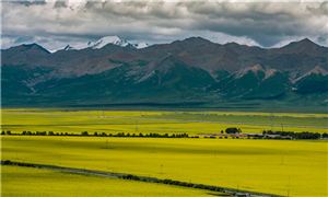 生態修復行業“十五五”藍圖：政策引領、市場重構與投資機遇