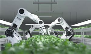 2025年中國AI+智慧農(nóng)業(yè)行業(yè)市場深度分析與發(fā)展前景預(yù)測