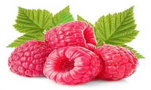 2025年樹莓行業市場發展現狀趨勢分析