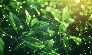 2025-2030農產品電商行業投資：決勝關鍵在供應鏈