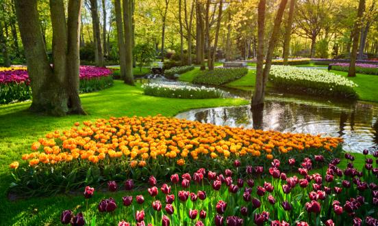 2025中國林下經(jīng)濟行業(yè)全景調(diào)研及市場規(guī)模分析