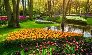 2025中國林下經(jīng)濟行業(yè)全景調(diào)研及市場規(guī)模分析