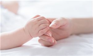 嬰兒紙尿褲行業2026年發展指南：市場規模、利潤率、進入壁壘與關鍵變量預測