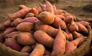 2025中國消費品檢測行業發展現在與產業鏈分析