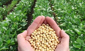 2025食品科技行業調研及未來趨勢預測