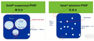 2025-2030年中國(guó)PVDF行業(yè)全景調(diào)研與發(fā)展趨勢(shì)預(yù)測(cè)分析