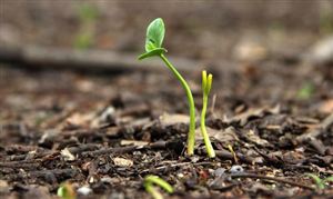 2025年中國(guó)農(nóng)資電商行業(yè)全景調(diào)研及投資戰(zhàn)略咨詢