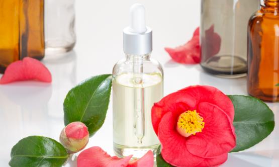 2025山茶油行業市場規模及未來趨勢分析