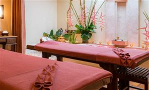 2026-2030年中國(guó)水療項(xiàng)目可行性研究：黃金五年的增長(zhǎng)引擎與戰(zhàn)略布局