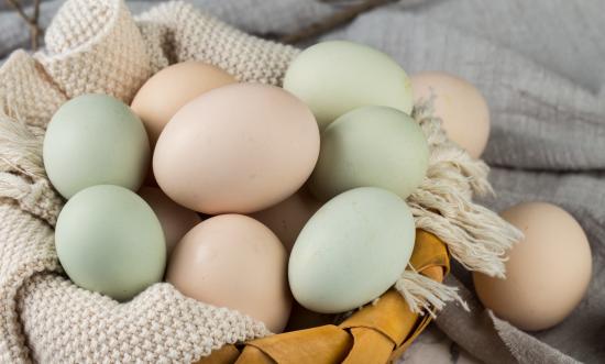 雞蛋行業現狀與發展趨勢分析