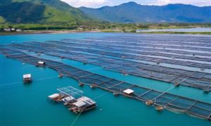 2026年中國漁業發展現狀分析與投資前景預測