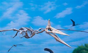 2025研學(xué)旅行項(xiàng)目可行性：政策春風(fēng)與時代需求的雙重奏鳴