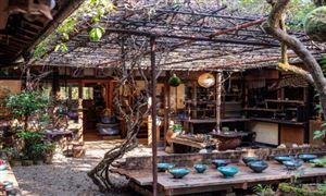 2025茶藝會館項目可行性：擁抱茶之